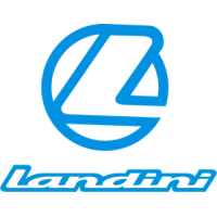 Reparacion unidad motor Landini